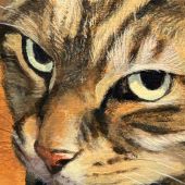 Boss the cat