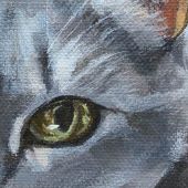 Dinah the cat