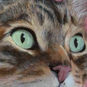 Hobbes the cat