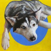 Zagreus the dog