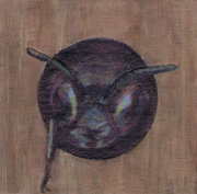 A carpenter bee peeks out from its wooden home